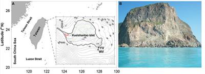 Cultivation-Independent and Cultivation-Dependent Analysis of Microbes in the Shallow-Sea Hydrothermal System Off Kueishantao Island, Taiwan: Unmasking Heterotrophic Bacterial Diversity and Functional Capacity